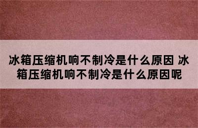 冰箱压缩机响不制冷是什么原因 冰箱压缩机响不制冷是什么原因呢